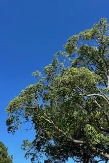 コンペやクラブ競技会!秋ゴルフ到来です!